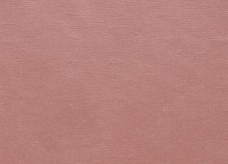 Фото - Ткани Clarke&Clarke Prima - 404433>