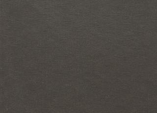 Фото - Ткани Clarke&Clarke Prima - 404415>