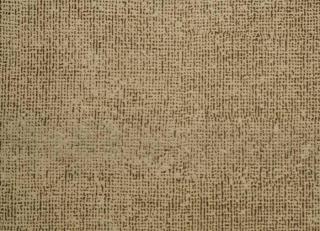 Фото - Ткани Rubelli Superwong - 494457>