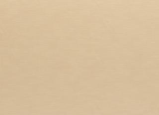 Фото - Ткани Clarke&Clarke Java - 403717>