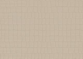 Фото - Обои Zambaiti Philipp Plein - 550596>