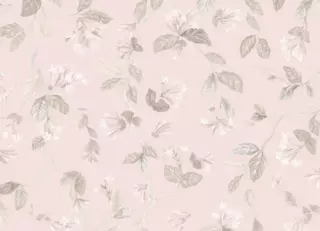 Фото - Обои Cole & Son Selection of Hummingbirds - 626742>