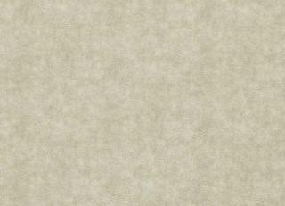 Фото - Ткани Clarke&Clarke Dawson - 530149>