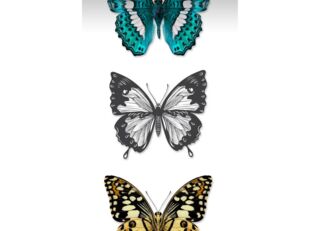 Фото - Обои Esta Home Brooklyn Bridge - 626896>