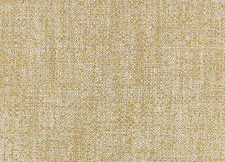 Фото - Ткани Black Edition Xandri Outdoor - 631253>