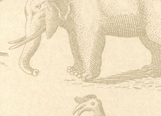 Фото - Обои Andrew Martin Museum - 243773>