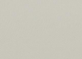 Фото - Ткани Faboie Plain VIII - 584165>