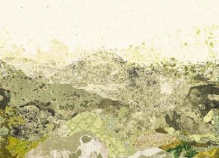 Фото - Обои Nobilis Grand Angle - 467285>