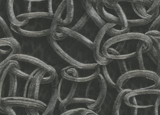 Фото - Обои для стен Roberto Cavalli - 525773>