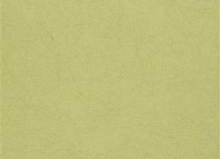 Фото - Обои Christian Lacroix The Edit Plains and Textures II - 576568>