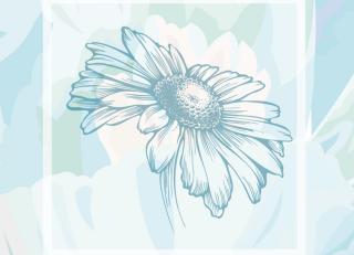 Фото - Обои Ango Linea Natural - 330828>