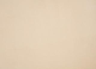 Фото - Ткани Zinc Leather Volume I - 565560>