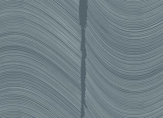 Фото - Обои Loymina Equilibre - 419433>