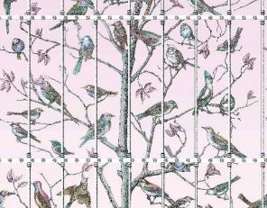 Фото - Обои Cole & Son Fornasetti - 400082>