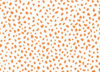 Фото - Обои Thibaut Resort - 229426>