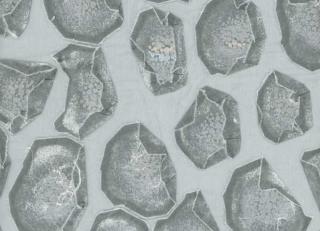 Фото - Ткани Andrew Martin Clarendon - 302857>