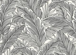 Фото - Обои Architector Black and White - 495639>