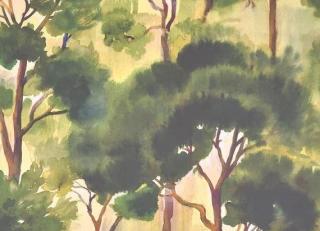 Фото - Обои Pierre Frey Jardins Secrets Wallpapers - 617413>