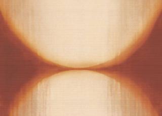 Фото - Обои Elitis Tribus - 621595>