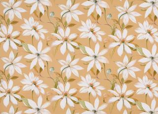 Фото - Ткани Prestigious Textiles Bloom - 441197>