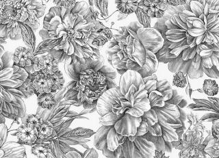 Фото - Обои Faboie Summer - 562956>