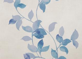 Фото - Обои Caselio Delicate - 226904>