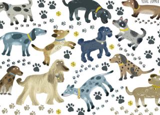 Фото - Аксессуары для интерьера Villa Nova - 396613>