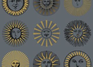 Фото - Обои Cole & Son Fornasetti Senza Tempo II - 626673>
