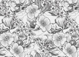 Фото - Обои Ortograf Silver&Gold - 477347>