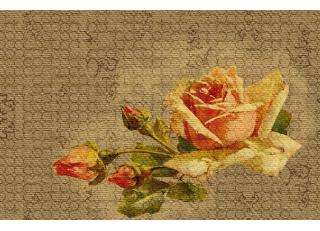 Фото - Обои Wall&Deco CODE 2014 CONTEMPORARY - 463726>