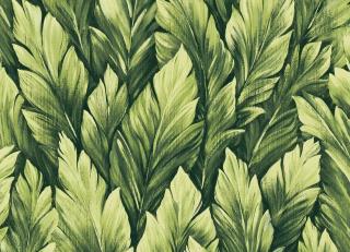 Фото - Обои Hohenberger Tropical - 545138>