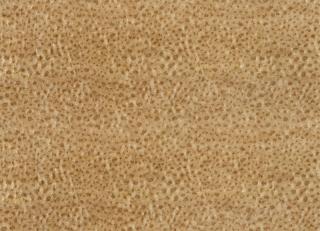 Фото - Ткани Zoffany Maze Fabrics - 390280>