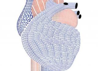 Фото - Обои Mr Perswall Communication - 234731>