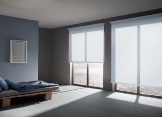 Фото - Рулонные шторы - 366160>