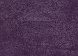 Фото - Аксессуары Pavoni Кожа Vitellina Pelo - 589063>