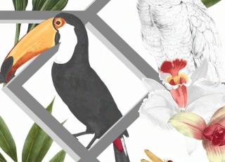 Фото - Обои Graham & Brown Explorer - 546238>