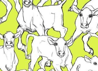 Фото - Обои Jannelli & Volpi Marimekko - 440325>