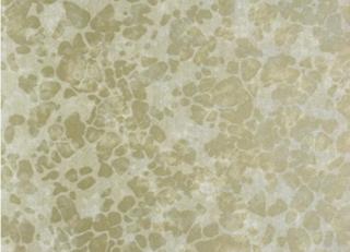 Фото - Обои Prestigious Textiles Neo - 183497>