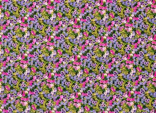 Фото - Ткани Harlequin Sophie Robinson Fabrics - 582026>