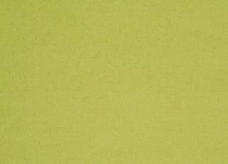 Фото - Обои Caselio Power - 231369>