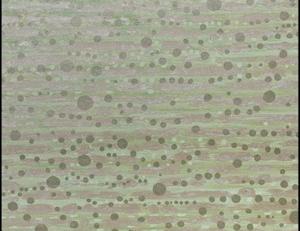 Фото - Обои Nobilis Place Dauphine - 358194>