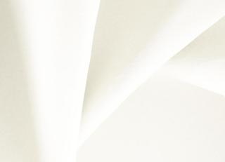 Фото - Ткани Daylight Biscotto - 532433>