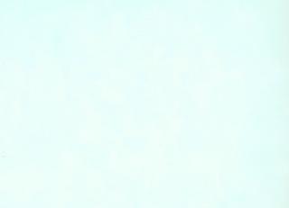 Фото - Обои KT Exclusive Tales - 347731>