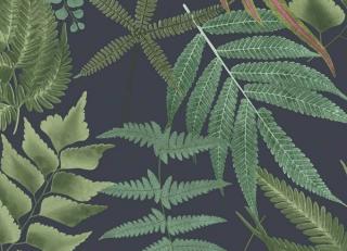 Фото - Обои Graham & Brown Explorer - 546259>