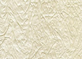 Фото - Обои Arlin Velawall - 342140>