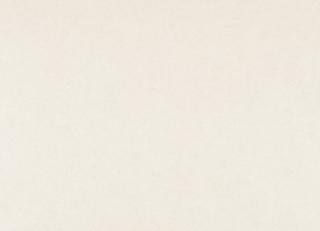 Фото - Обои для стен Botanica - 228303>