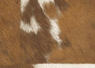 Фото - Обои Elitis Sauvages - 605248>