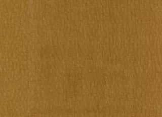 Фото - Ткани Casamance Rodeo - 629101>