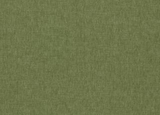 Фото - Ткани Clarke&Clarke Paradiso - 600240>