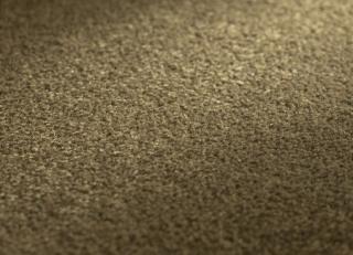 Фото - Ковры JAB Anstoetz Infinity - 574177>